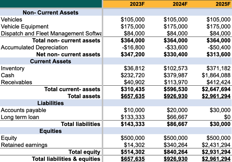 non emergency medical business plan balance sheet